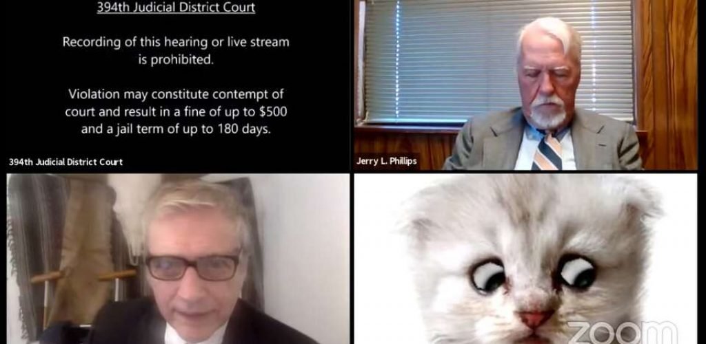 I Am Not A Cat Says Lawyer To Judge Impact Origin